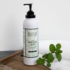 Archipelago Botanicals Morning Mint Lotion | Stimulating, Smoothing Daily Body Lotion | Free From Parabens, Phthalates and GMOs (18 oz)