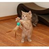 Bouncy Tails 3 Pack Interactive Bouncy Ball with Natural Feathers for Indoor Cats and Kittens who Love to Play and Have Fun.