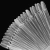 ZEONHEI 150 PCS Tips Clear Nail Art Sticks, Fan-shaped Nail Display Sticks, Oval Nail Art Polish Board Display Sticks with Metal Ring for Nail Color Display Practice Home DIY