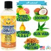Bodhi Dog New Refreshing Orange Citrus Dog Shampoo | Deep Cleaning Formula with Coconut and Aloe Vera | Natural Soothing & Moisturizing Pet Dog Puppy and Cat Wash (17 Fl Oz)