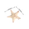 FRCOLOR 2PCS Starfish Hair Clip Handmade Natural Sea Star Hair Pins Cute Headwear for Girls Kids Women, Random Size