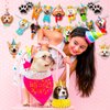 Dog Hanging Swirls Decorations Banner, 25 Pcs Dog Themed Birthday Party Decorations - Dog Birthday Party Honeycomb Centerpieces Banner Hanging Swirls for Kids/Teens Puppy Birthday Decorations Supplies
