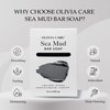 Olivia Care Sea Mud Bar Soap 100% Natural, Vegan & Organic - For Face & Body -Nourish, Exfoliate, Hydrate, Moisturize & Deep Clean - Leave Skin Purified & Glowing - 8 OZ
