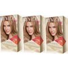 Revlon Colorsilk Color Effects Frost and Glow Highlights, Honey, 3 Count