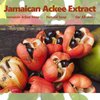 Ackee Soap 2Pack, Jamaican Ackee Soap Bar, Natural Ackee Soap for Face Body Bath Smooth Skin Skincare