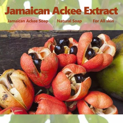 Ackee Soap 2Pack, Jamaican Ackee Soap Bar, Natural Ackee Soap for Face Body Bath Smooth Skin Skincare