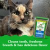 Greenies Feline Adult Dental Cat Treats, Tempting Tuna Flavor, 9.75 oz. Tub