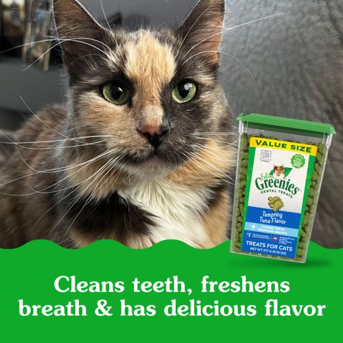 Greenies Feline Adult Dental Cat Treats, Tempting Tuna Flavor, 9.75 oz. Tub