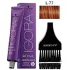 Schwarzkopf IGORA Royal FASHION LIGHTS Permanent HIGHLIGHT Hair Color Creme (with Sleek Tint Applicator Brush) Haircolor Cream (L-77)