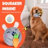 Globright Hide and Seek Squeaky Dog Plush Toy Carrot and Bunny Set, 4 Pack Dog Puzzle Toys for Training and Cleaning, Interactive Tough Dog Toy for Small Medium Dogs