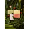 natura Ekos Multipack Bar Soap Set Ucuuba, Castanha, Andiroba, Maracujá