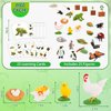 Mostop Life Cycle Learning Toys for Kids, Life Science Educational Kit with Frog, Butterfly, Penguin, Chicken, Ladybug, Plants, 25 Pcs Plastic Animal Figurines Montessori Toys for Boys Girls Age 3+