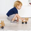 Wee Gallery Bunny Push Toy, Rolling Toy, Classic Motion Toys for Child Motor Skills, Balance, Roll Along Play, and Animal Nursery Decor (Baby, Toddler, Kids)