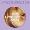 SoftSheen-Carson Dark and Lovely Fade Resist Rich Conditioning Hair Color, Permanent Hair Color, Up To 100 percent Gray Coverage, Brilliant Shine with Argan Oil and Vitamin E, Hazelnut, 2 Count