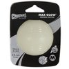 Chuckit! Max Glow White Rubber Dog Toy Medium