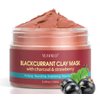 Blackcurrant Clay Mask, Blackhead Detox Clay Mask, Pore Tightening, Acne Control Clay Mask, Nourishing Moisturizing Clay Mask, Natural Healing Clay Mask 5.29 oz