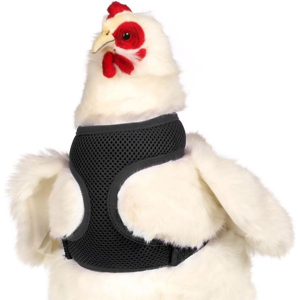 Chicken Harness (Black, X-Small)