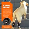 NeoAlly - Short Rear Leg Hock Brace, Dog Leg Brace for Rear Leg, Hock & Ankle Support, Dog Brace for Torn ACL & CCL, Dog Leg Sleeve with Reflective Straps, XL, Black, 1 Pair