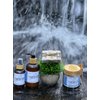 Dead Sea Salt Exfoliating Scrub Body Scrub Exfoliation Great for Scars, Chicken Skin, Cellulite, Stretch Marks for Men & Women (The Truth for Men, 8 oz.)