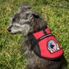 Premium Emotional Support Dog Vest | ESA Dog Vest | Mesh Cooling Panel | Emotional Support Dog Harness | Includes 5 Federal Law ESA Handout Cards (9" - 13" Girth, Red)