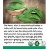 Organic Henna Powder For Hair Dye | Lawsonia Inermis | Mehndi Powder | Natural & Raw | USDA Certified by Proud Planet (8oz | 226g)