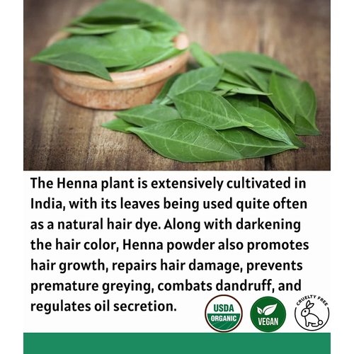 Organic Henna Powder For Hair Dye | Lawsonia Inermis | Mehndi Powder | Natural & Raw | USDA Certified by Proud Planet (8oz | 226g)
