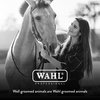 Wahl Professional Animal Equine Grooming Horse Hoof Pick (#858710) - Horse Hoof Pick for Grooming - Ergonomic, Comfort Rubber Handle - Horse Cleaning Tool - Black