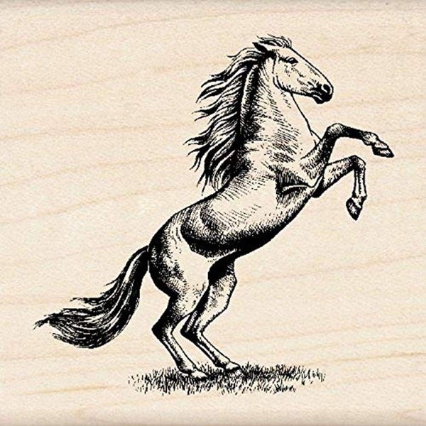 Inkadinkado Horse Wood Stamp for Scrapbooking and Card Making, 1 Piece 2.25'' W x 2.25'' L