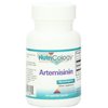 Nutricology Artemisinin Supplement - GI Tract Support, Pure Qinghaosu from Artemisia annua, Thujone-Free, Vegetarian Capsules - 90 Count