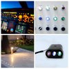 MECCANIXITY E10 Screw Base LED Flashlight Bulbs DC 3V White Light Mini Lamps with Storage Box, 1 Set/5 Pack