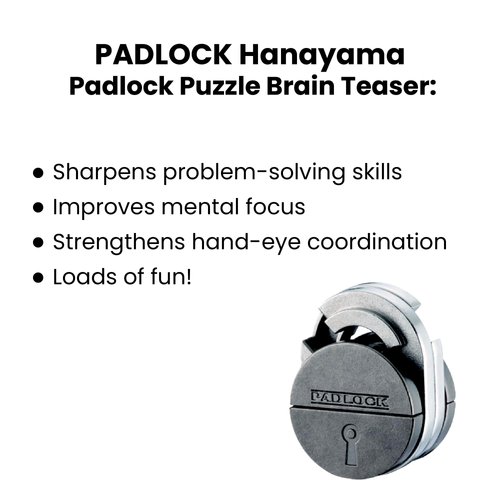 PADLOCK Hanayama Cast Metal Brain Teaser Puzzle _ Level 5 Difficulty Rating