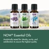 NOW Essential Oils, Organic Spearmint Oil, Stimulating Aromatherapy Scent, Steam Distilled, 100% Pure, Vegan, Child Resistant Cap, 1-Ounce