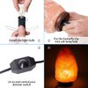 OHLGT Salt Lamp Cord Replacement 1 Pack with Dimmer Switch 5 feet Lamp Cord and 6-Pack Halogen Salt Lamp Bulbs(15 Watts)