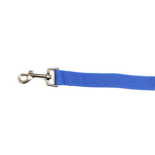 Red Car Seat Belt Leash for Dog Safety Harness Universal Fitment