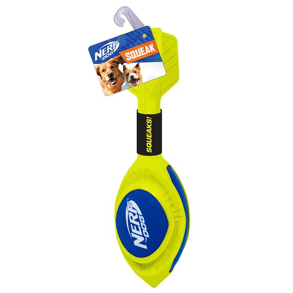 Nerf Dog 12 Inch Nylon/Foam Fetch and Catch Dog Toy, Blue/Green, Medium