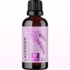 Pure Lavender Essential Oil - Premium Lavender Essential Oil for Hair Skin and Nails - Aromatherapy Lavender Oil for Diffusers Humidifiers and Linens Plus Natural Bath Oil for Home Spa Self Care