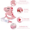 Teething Toys for Babies 0-6 Months, 6-12 Months BPA-Free Baby Silicone Teether Dinosaur Pacifiers 0-6 Months Baby Teething Relief Toys Easy to Hold Gift Package Best Baby Gift