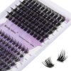 WENDY Lashes Clusters D Curl Lash Clusters DIY Eyelash Clusters 2 Styles 12-16mm Cluster Lashes Black Cluster Eyelash Extensions Wispy Individual Lashes At Home(Gorgeous/Bright-0.07D,12-16mm Mixed)