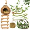 RUNANIA Crested Gecko Tank Accessories, Reptile Vines and Plants Coco Hut Coconut Shell with Ladder Hideout Cave Habitat Decor for Climbing Lizard Leopard Gecko Tortoise Amphibians Hermit Crab