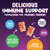 Kids & Toddler Immune Support Gummies with Vitamin C, Zinc & Echinacea - Immune Support Gummy for Kids, Daily Childrens Immune Support Vitamins Supplement, Vegan & Non-GMO, Berry Flavor - 90 Gummies