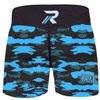 Roar Women's MMA Fight Shorts, UFC, BJJ, Muay Thai, WOD, NOGI, Kickboxing, (PF Blue, Medium)