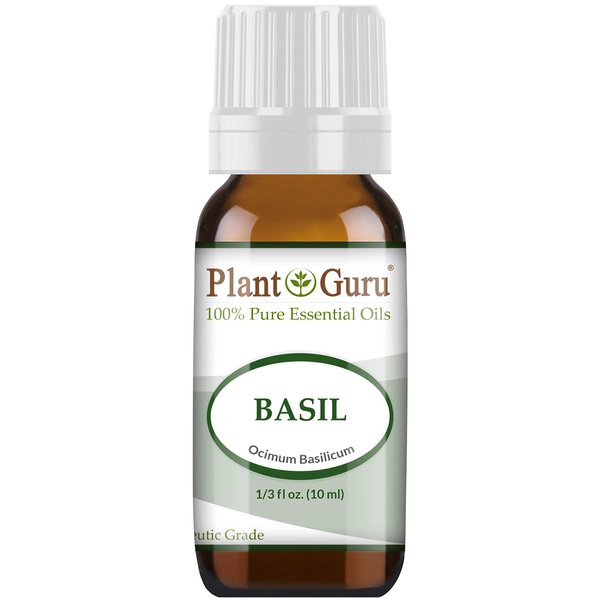 Basil Essential Oil 10 ml 100% Pure Undiluted Therapeutic Grade.