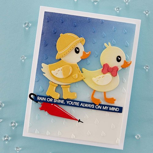 Spellbinders Raindrops by Vicki Papaioannou 3D Embossing Folder, Clear