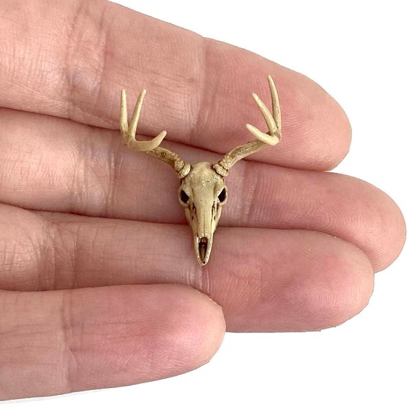 Miniature Deer Skulls 1:24 Scale White Tail Deer Skull Replica for Dollhouse or Diorama, Realistic Design 7/8 inch by the Scale Grail (Aged (hand painted), FIVE (5) Deer Skulls)