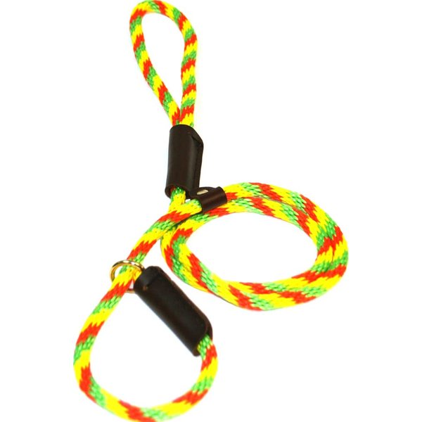 Lone Wolf Slip Lead with Leash and Collar for Pets, 3/8 by 6-Feet, Twisted Citrus Lime Green/Orange/Yellow Spiral