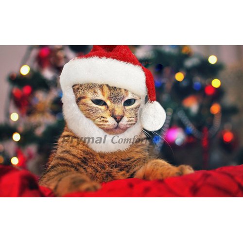 Prymal Comfort Santa Dog Cat Costume