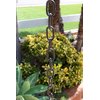 Monarch Rain Chains 18105 Aluminum Traditional Link Rain Chain, 8-1/2 Feet Length Replacement Downspout for Gutters, Black Powder Coated