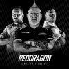 Red Dragon Golden Eye 1: 22g - Tungsten Darts Set with Flights and Stems