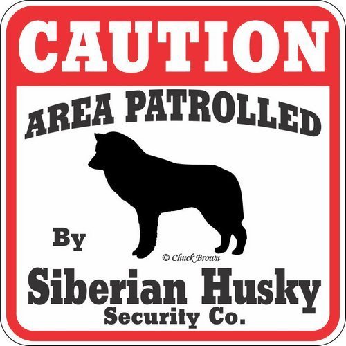 Dog Yard Sign Caution Area Patrolled by Siberian Husky Security Company
