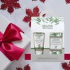Kalliston Organic Donkey Milk Cream with Shea Butter and Organic Olive Oil and Donkey Milk Soap Bar, Revitalize Gift Set